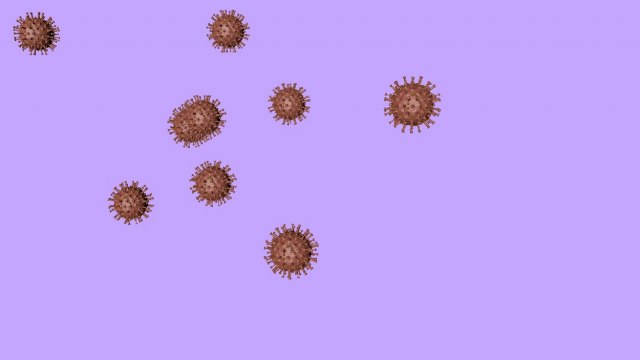 Otkriven novi soj koronavirusa u Francuskoj